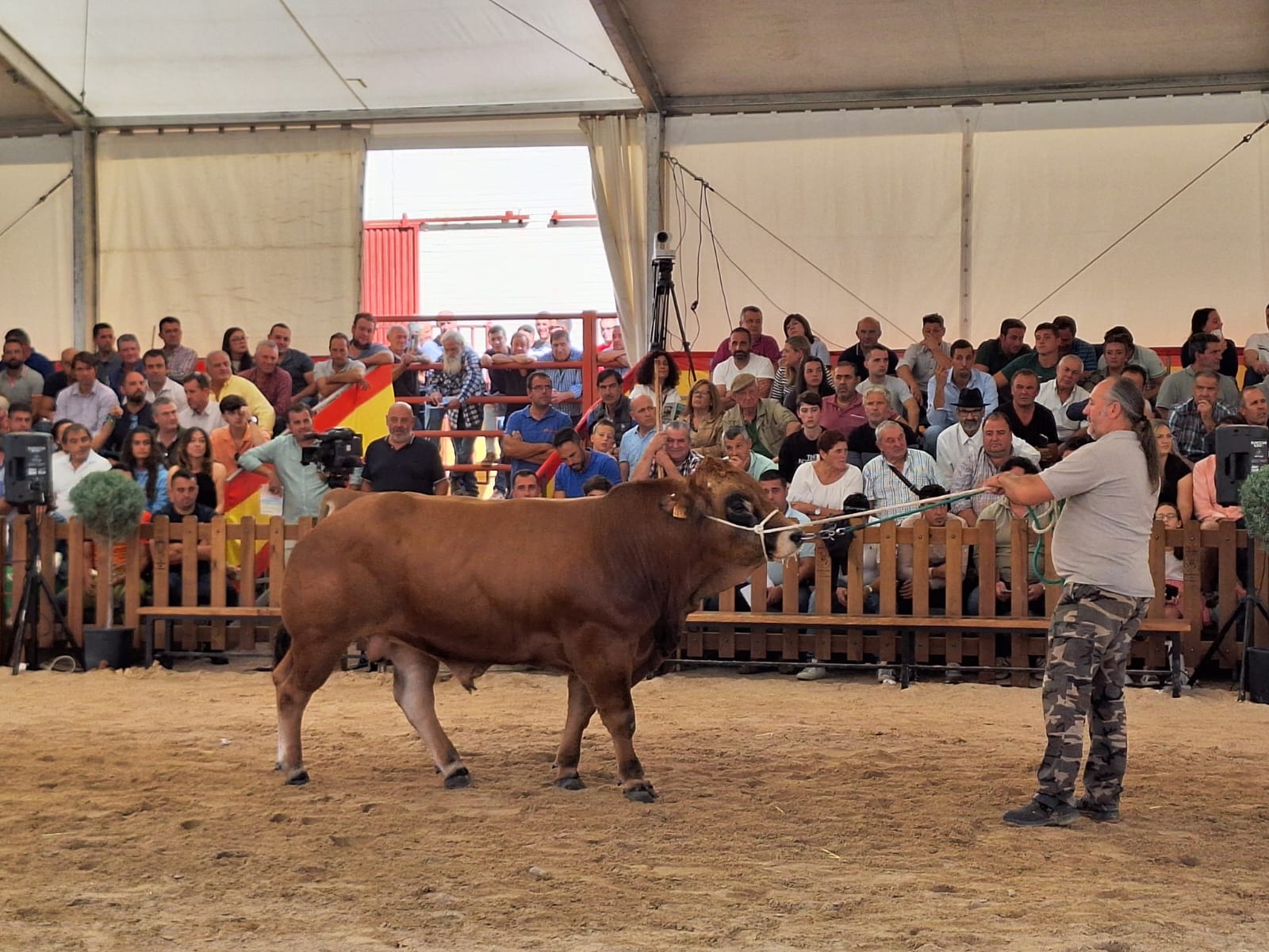 Subasta Nacional de Ganado Vacuno Salamaq 24 (18)