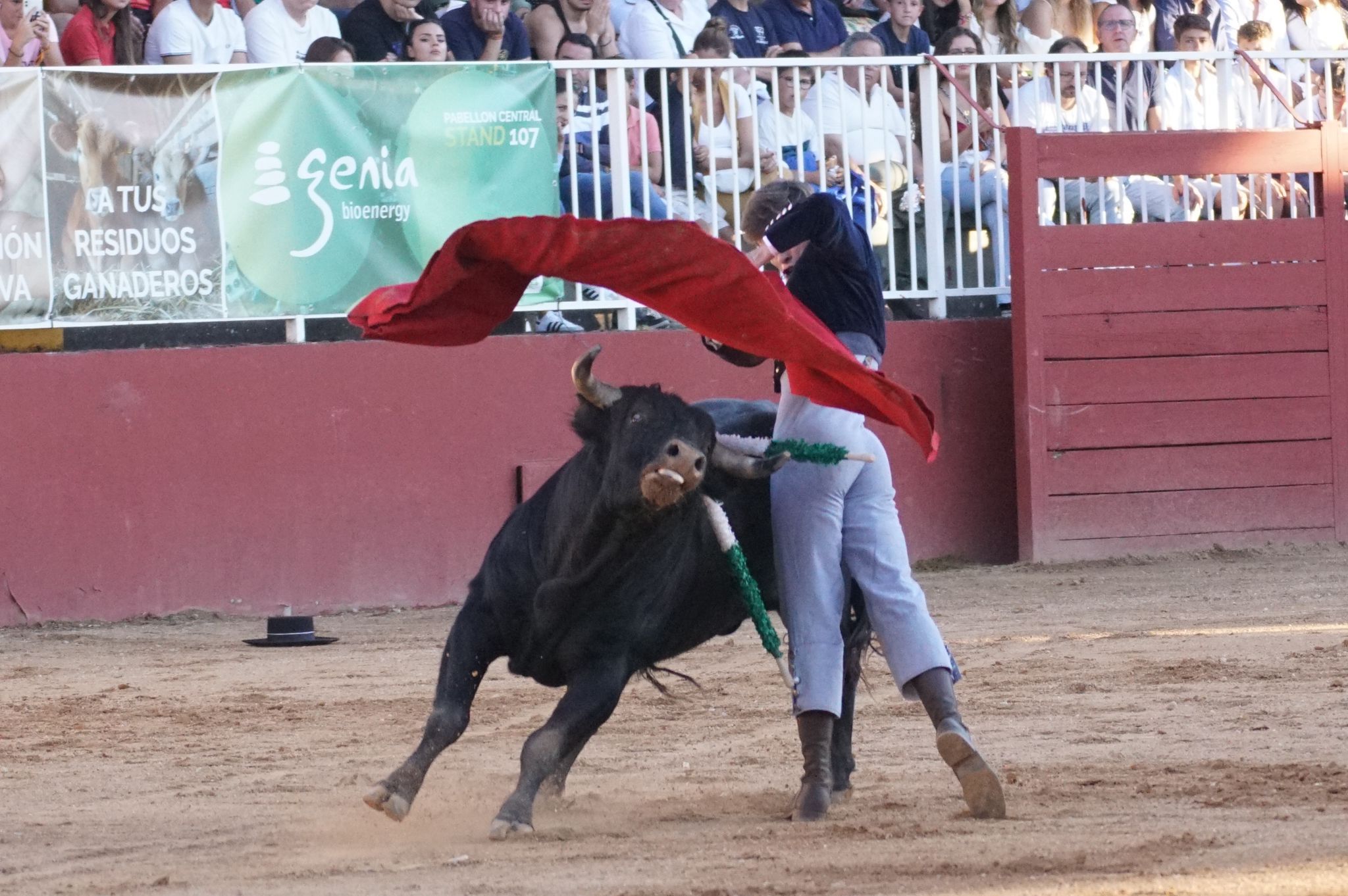  Clase práctica de tauromaquia de este lunes, 9 de septiembre