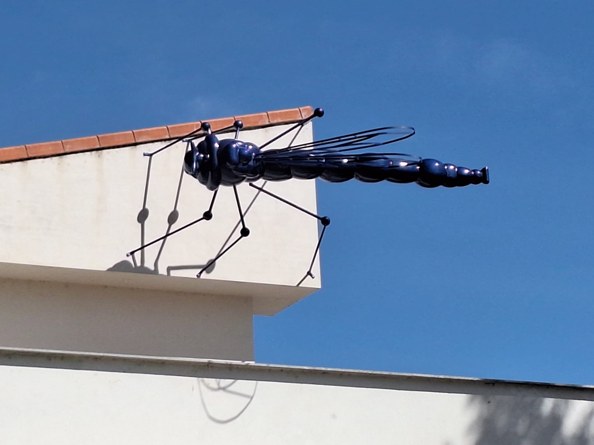 Ruta de los bichos en Santa Marta de Tormes Mosquito y Libélula (5)