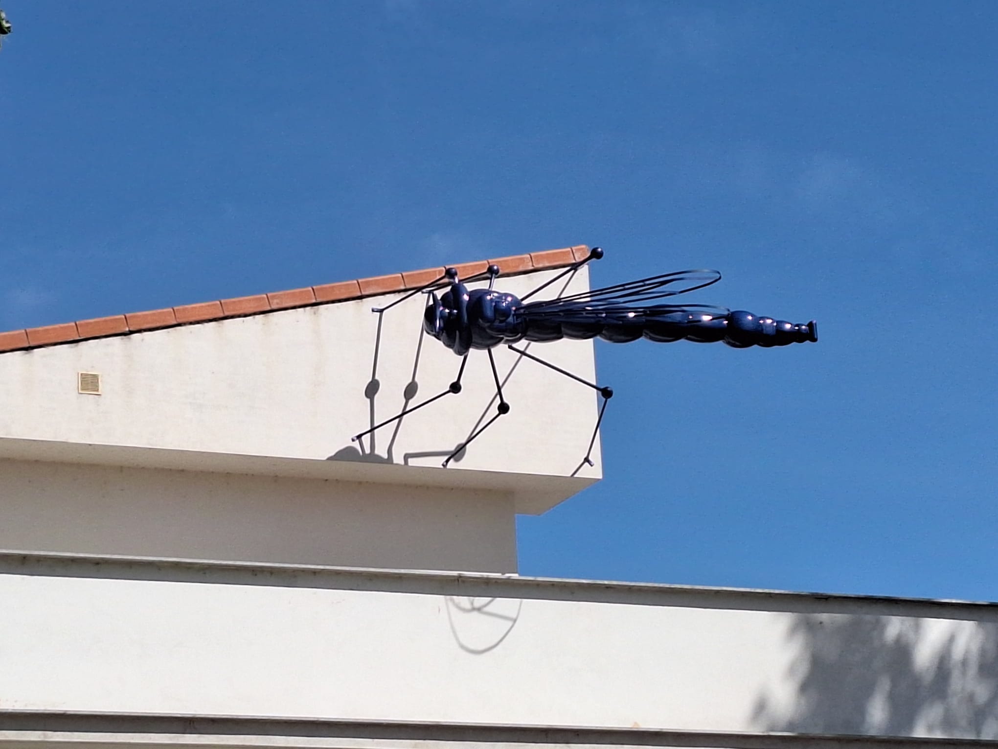 Ruta de los bichos en Santa Marta de Tormes Mosquito y Libélula (7)