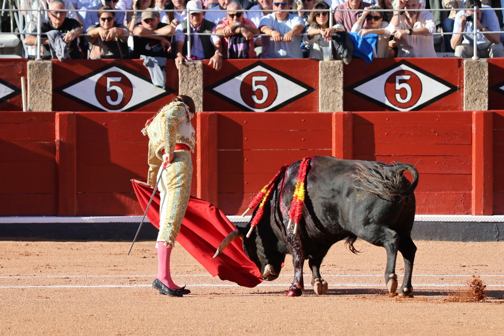 Novillada de Antonio de Palla: momentos más destacados del primer festejo de abono de la Feria Taurina Virgen de la Vega 2014. Fotos Andrea M.