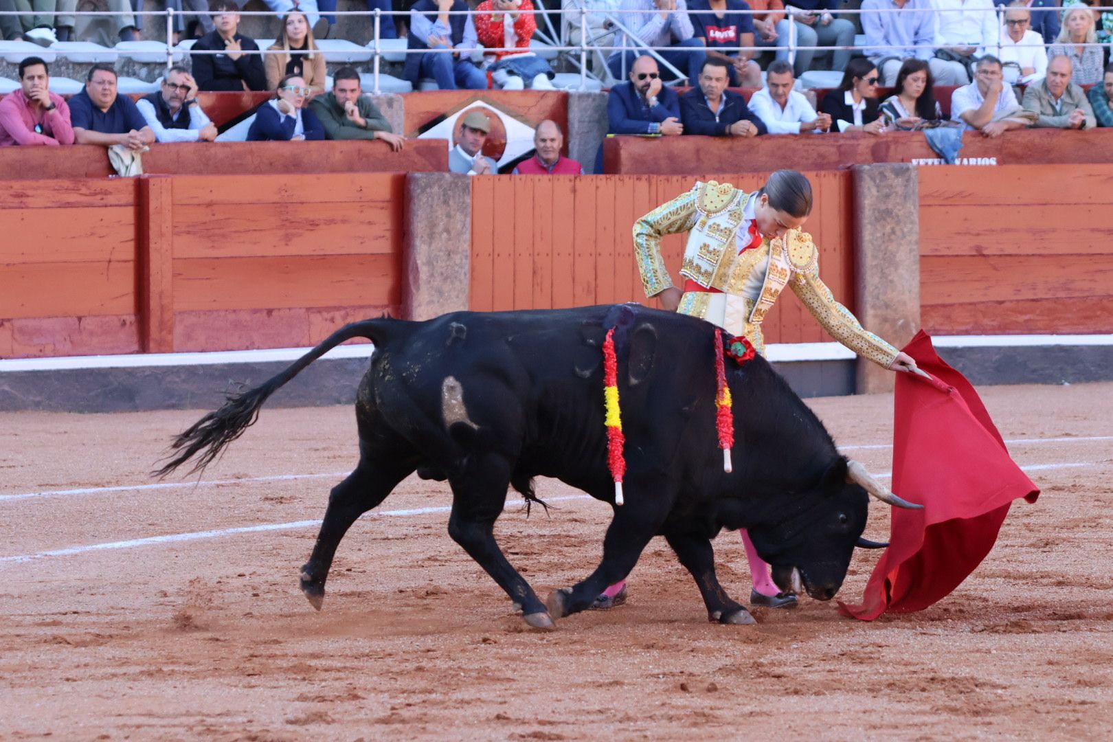 Novillada de Antonio de Palla: momentos más destacados del primer festejo de abono de la Feria Taurina Virgen de la Vega 2014. Fotos Andrea M.