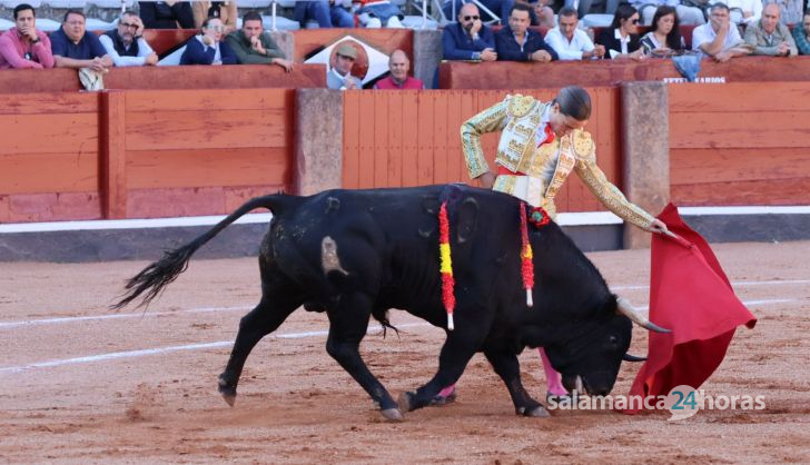 Novillada de Antonio de Palla: momentos más destacados del primer festejo de abono de la Feria Taurina Virgen de la Vega 2014. Fotos Andrea M.