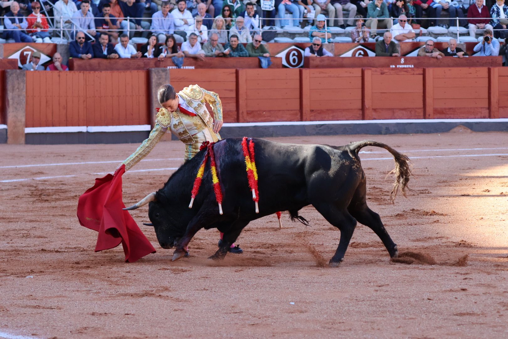 Novillada de Antonio de Palla: momentos más destacados del primer festejo de abono de la Feria Taurina Virgen de la Vega 2014. Fotos Andrea M.