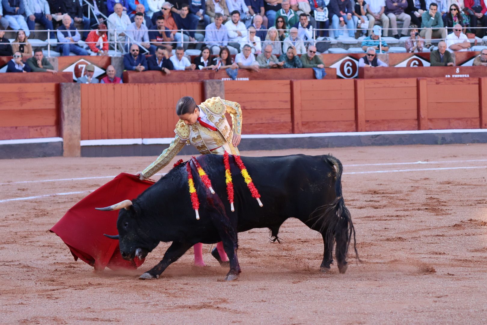 Novillada de Antonio de Palla: momentos más destacados del primer festejo de abono de la Feria Taurina Virgen de la Vega 2014. Fotos Andrea M.