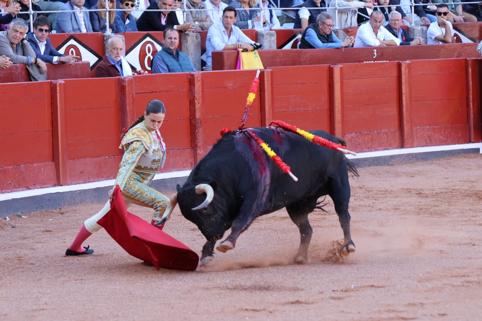 Novillada de Antonio de Palla: momentos más destacados del primer festejo de abono de la Feria Taurina Virgen de la Vega 2014. Fotos Andrea M.