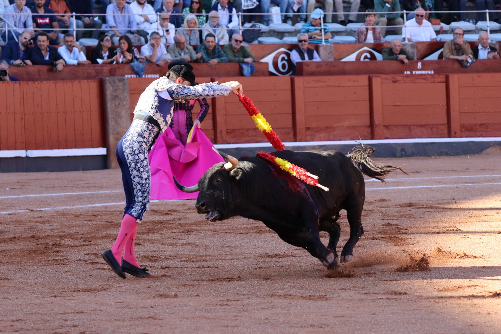 Novillada de Antonio de Palla: momentos más destacados del primer festejo de abono de la Feria Taurina Virgen de la Vega 2014. Fotos Andrea M.