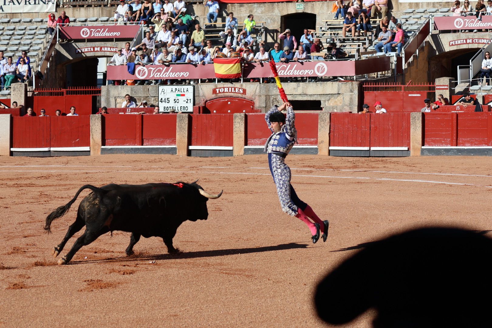 Novillada de Antonio de Palla: momentos más destacados del primer festejo de abono de la Feria Taurina Virgen de la Vega 2014. Fotos Andrea M.