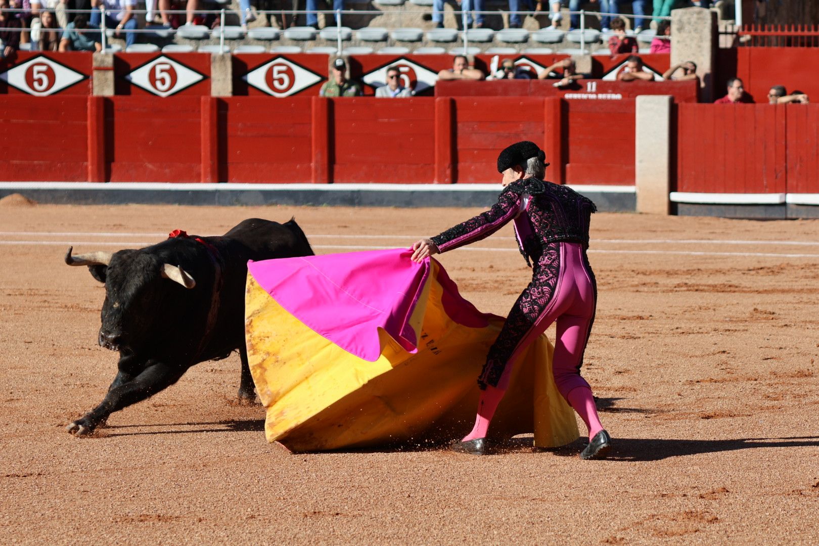 Novillada de Antonio de Palla: momentos más destacados del primer festejo de abono de la Feria Taurina Virgen de la Vega 2014. Fotos Andrea M.