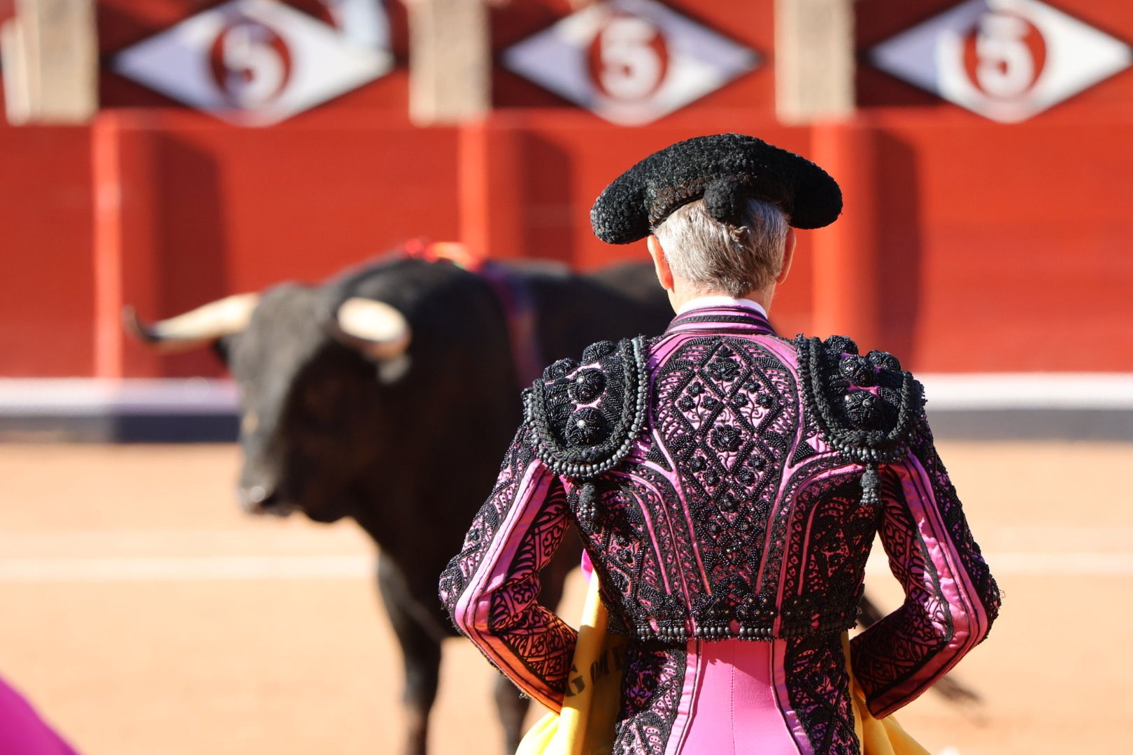 Novillada de Antonio de Palla: momentos más destacados del primer festejo de abono de la Feria Taurina Virgen de la Vega 2014. Fotos Andrea M.