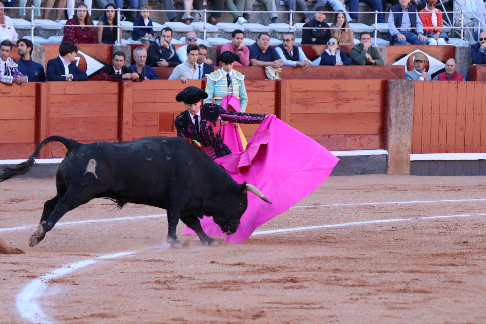 Novillada de Antonio de Palla: momentos más destacados del primer festejo de abono de la Feria Taurina Virgen de la Vega 2014. Fotos Andrea M.