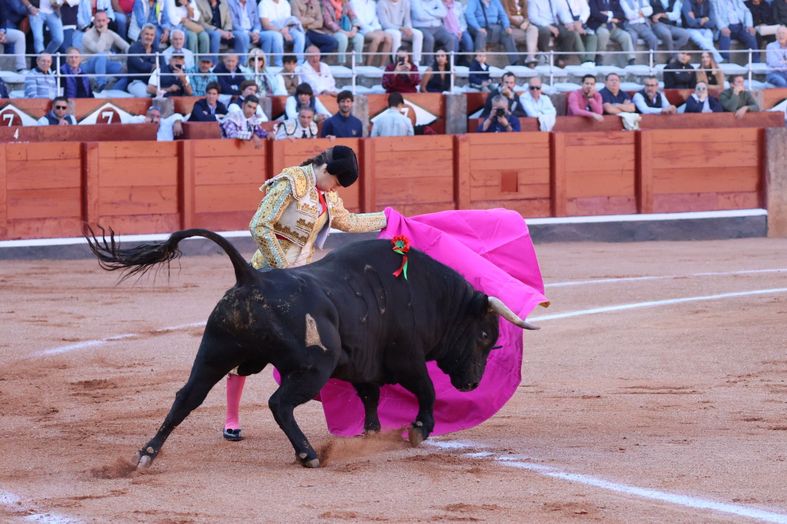 Novillada de Antonio de Palla: momentos más destacados del primer festejo de abono de la Feria Taurina Virgen de la Vega 2014. Fotos Andrea M.