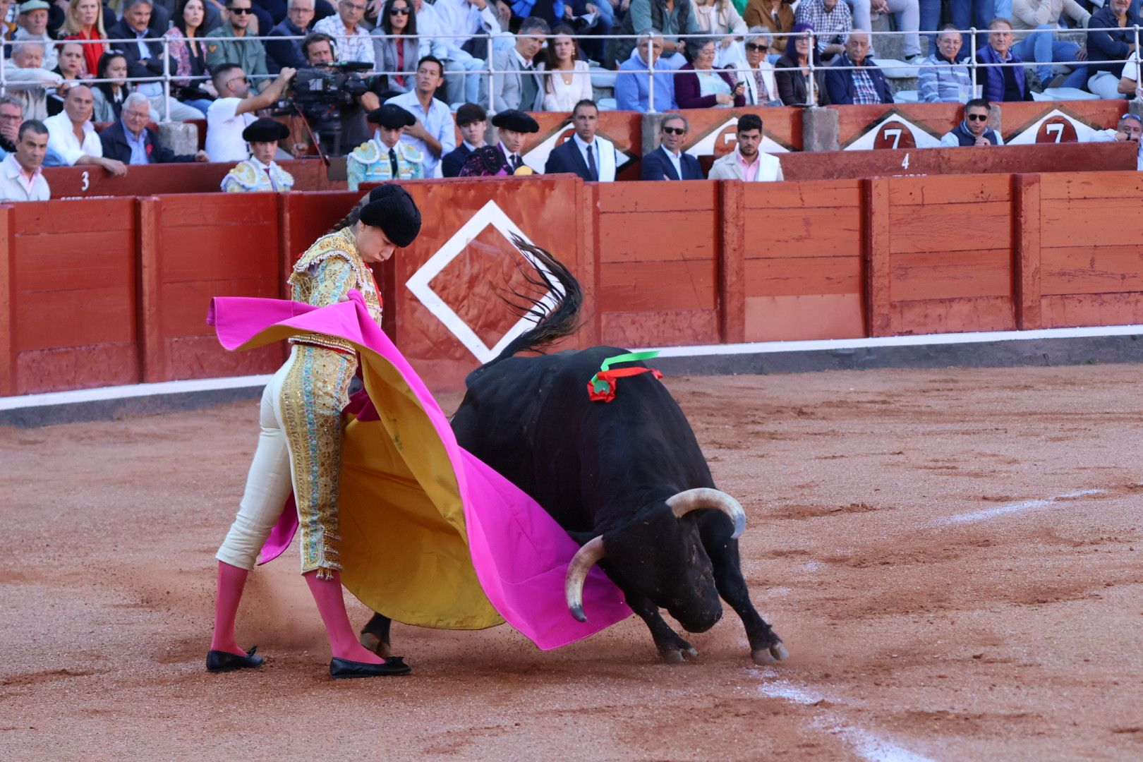 Novillada de Antonio de Palla: momentos más destacados del primer festejo de abono de la Feria Taurina Virgen de la Vega 2014. Fotos Andrea M.