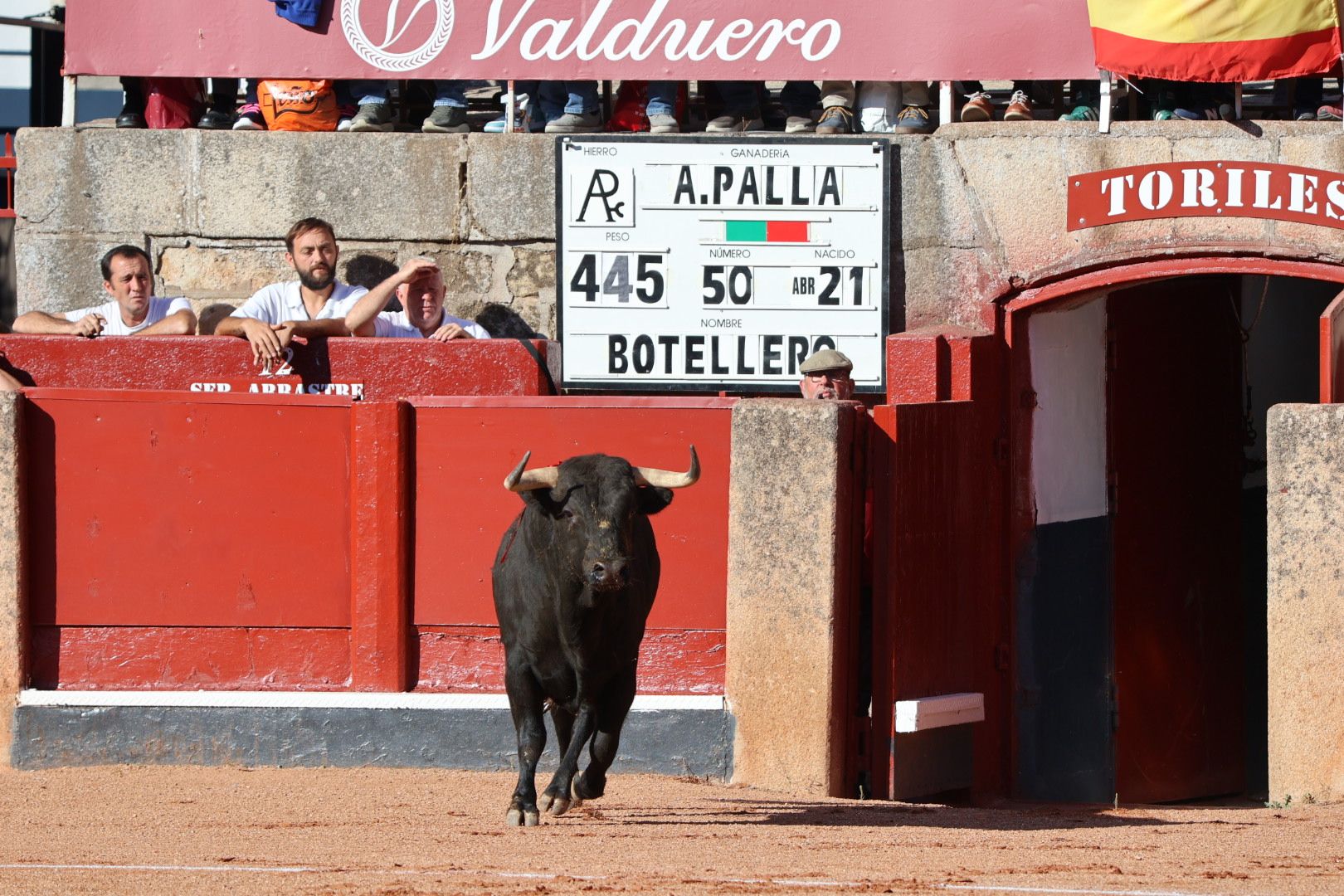 Novillada de Antonio de Palla: momentos más destacados del primer festejo de abono de la Feria Taurina Virgen de la Vega 2014. Fotos Andrea M.