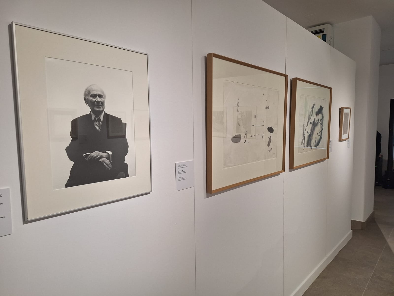 Exposición Joán Miró, Dibujos del Más Allá. Centro Cultural Fundos Fórum Salamanca (8)