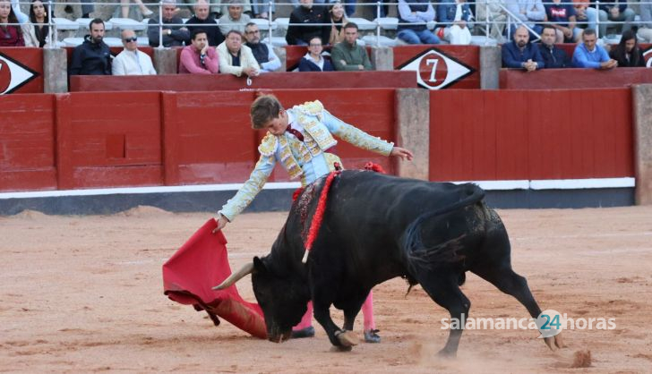 Novillada de Antonio de Palla: momentos más destacados del primer festejo de abono de la Feria Taurina Virgen de la Vega 2014. Fotos Andrea M.