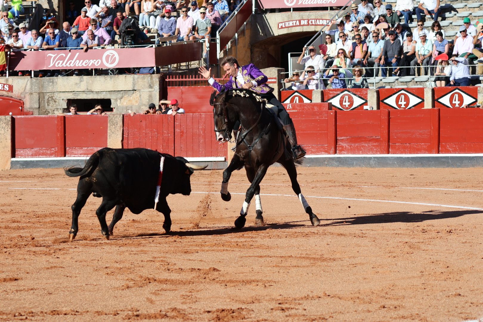 Corrida mixta del Capea: momentos más destacados del segundo festejo de abono de la Feria Taurina Virgen de la Vega 2024. Fotos Andrea M.