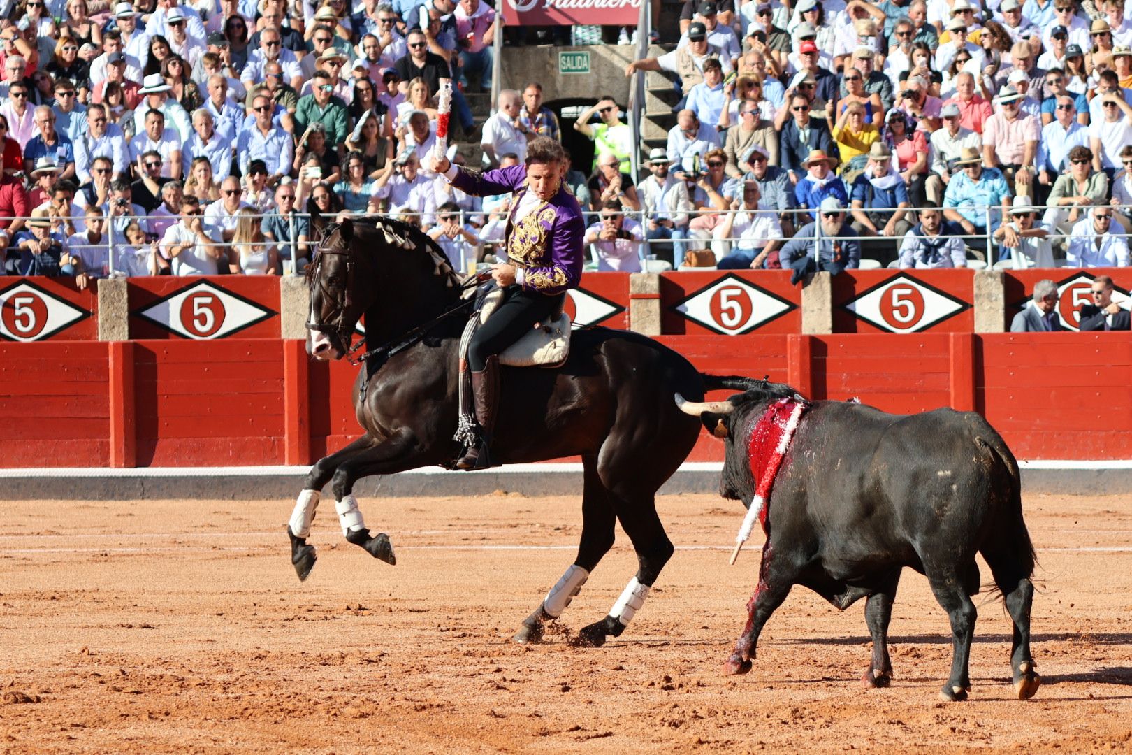 Corrida mixta del Capea: momentos más destacados del segundo festejo de abono de la Feria Taurina Virgen de la Vega 2024. Fotos Andrea M.