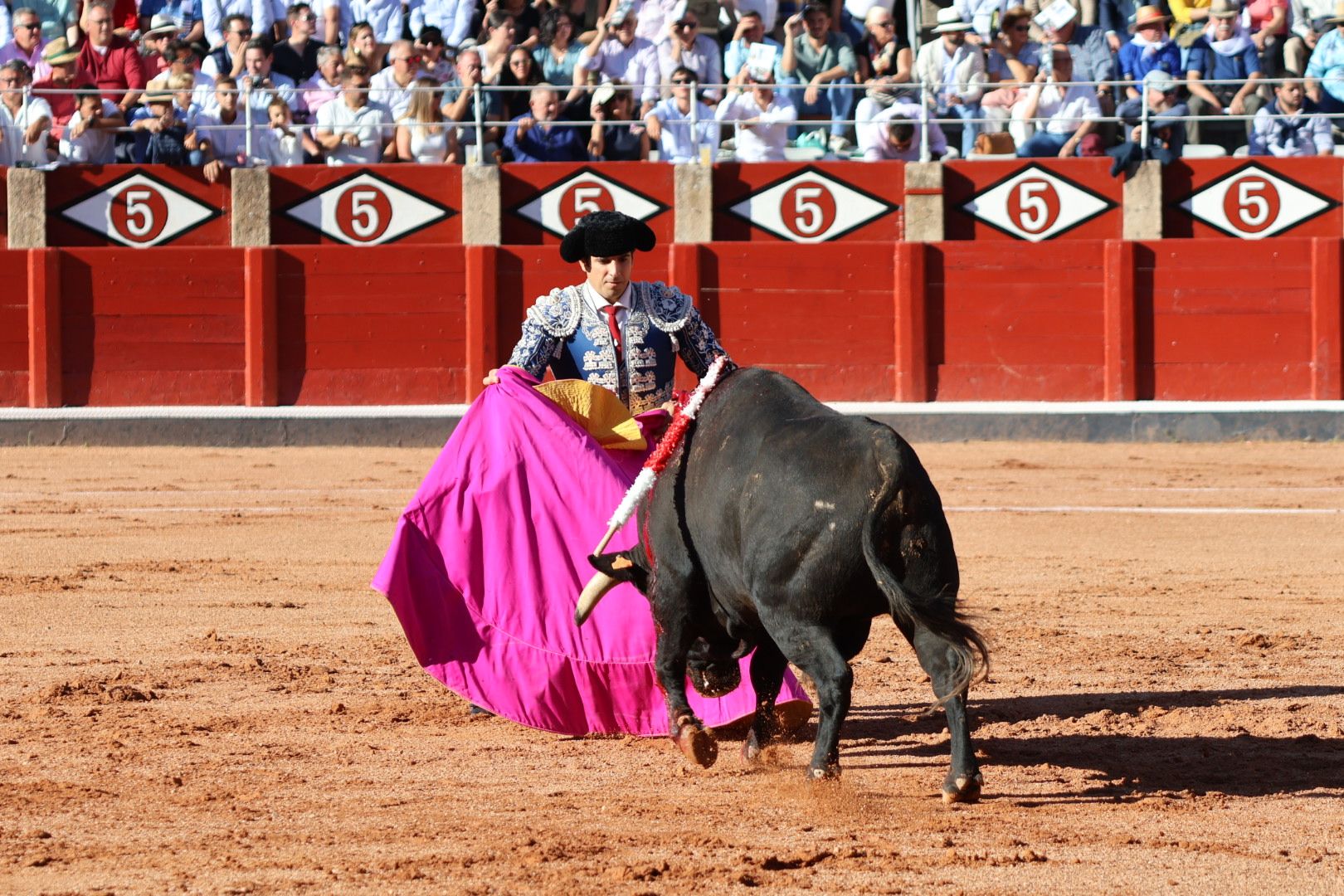 Corrida mixta del Capea: momentos más destacados del segundo festejo de abono de la Feria Taurina Virgen de la Vega 2024. Fotos Andrea M.