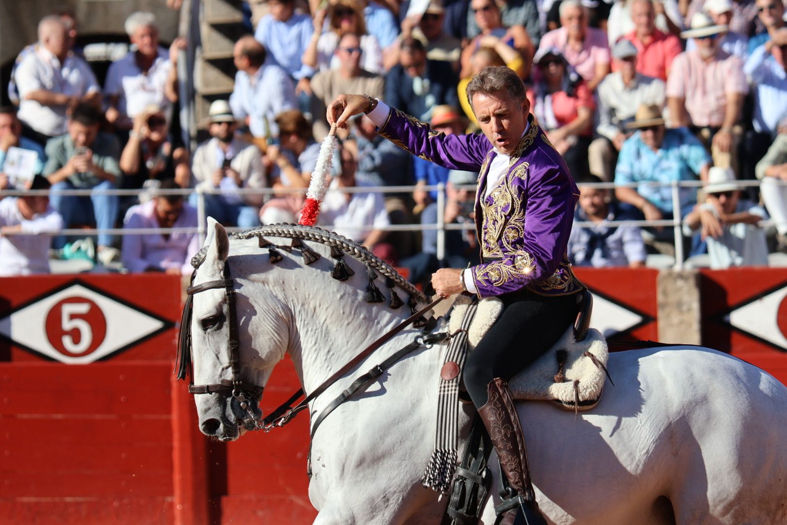 Corrida mixta del Capea: momentos más destacados del segundo festejo de abono de la Feria Taurina Virgen de la Vega 2024. Fotos Andrea M.