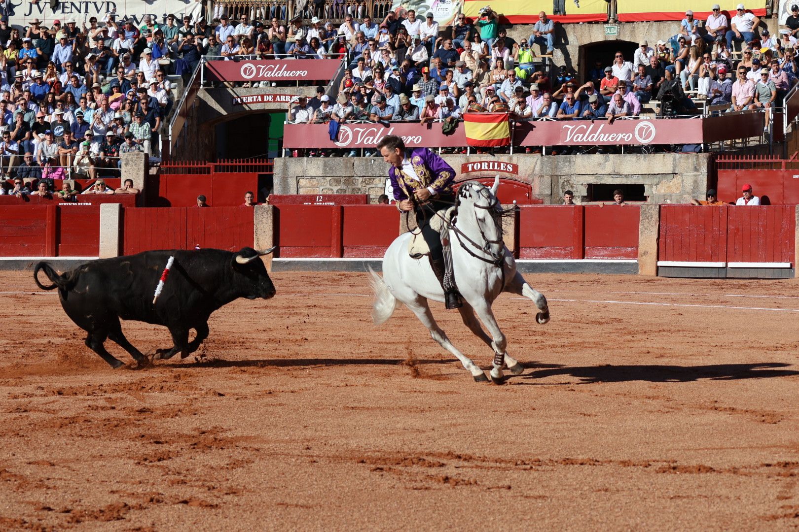 Corrida mixta del Capea: momentos más destacados del segundo festejo de abono de la Feria Taurina Virgen de la Vega 2024. Fotos Andrea M.