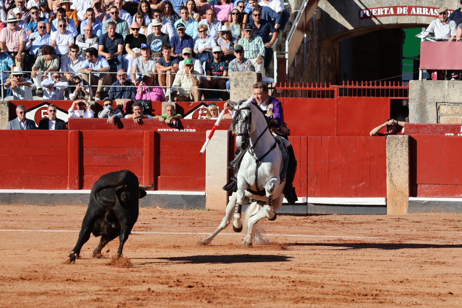 Corrida mixta del Capea: momentos más destacados del segundo festejo de abono de la Feria Taurina Virgen de la Vega 2024. Fotos Andrea M.