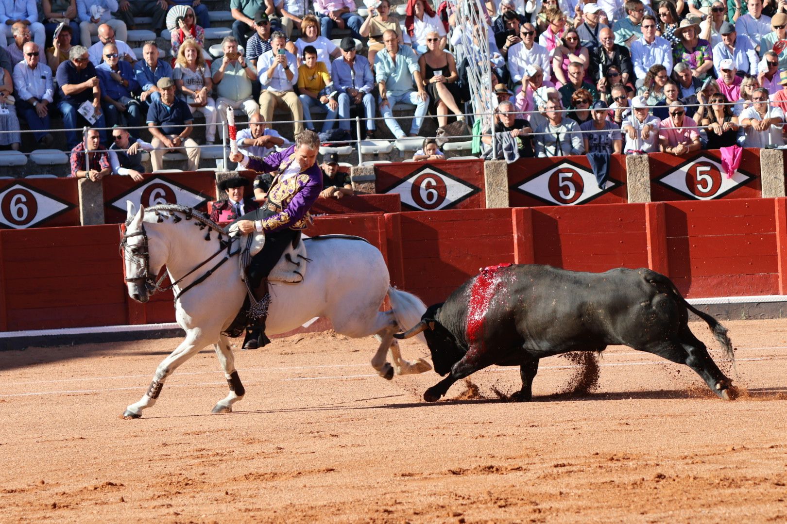 Corrida mixta del Capea: momentos más destacados del segundo festejo de abono de la Feria Taurina Virgen de la Vega 2024. Fotos Andrea M.