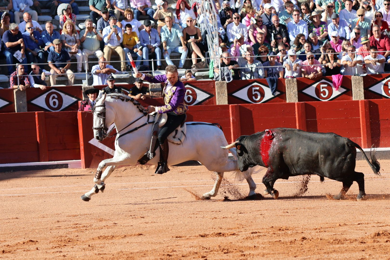 Corrida mixta del Capea: momentos más destacados del segundo festejo de abono de la Feria Taurina Virgen de la Vega 2024. Fotos Andrea M.