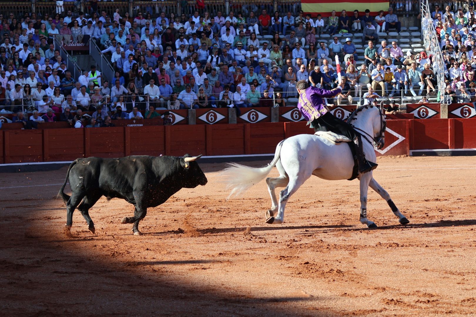 Corrida mixta del Capea: momentos más destacados del segundo festejo de abono de la Feria Taurina Virgen de la Vega 2024. Fotos Andrea M.