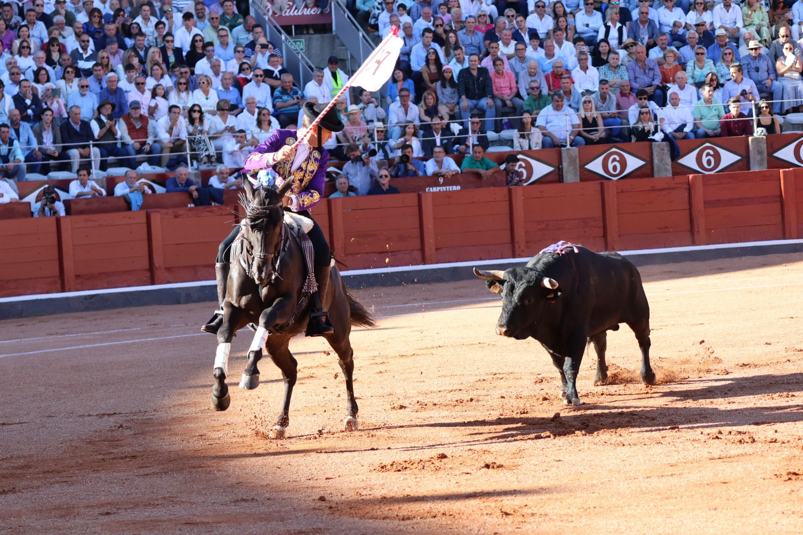 Corrida mixta del Capea: momentos más destacados del segundo festejo de abono de la Feria Taurina Virgen de la Vega 2024. Fotos Andrea M.