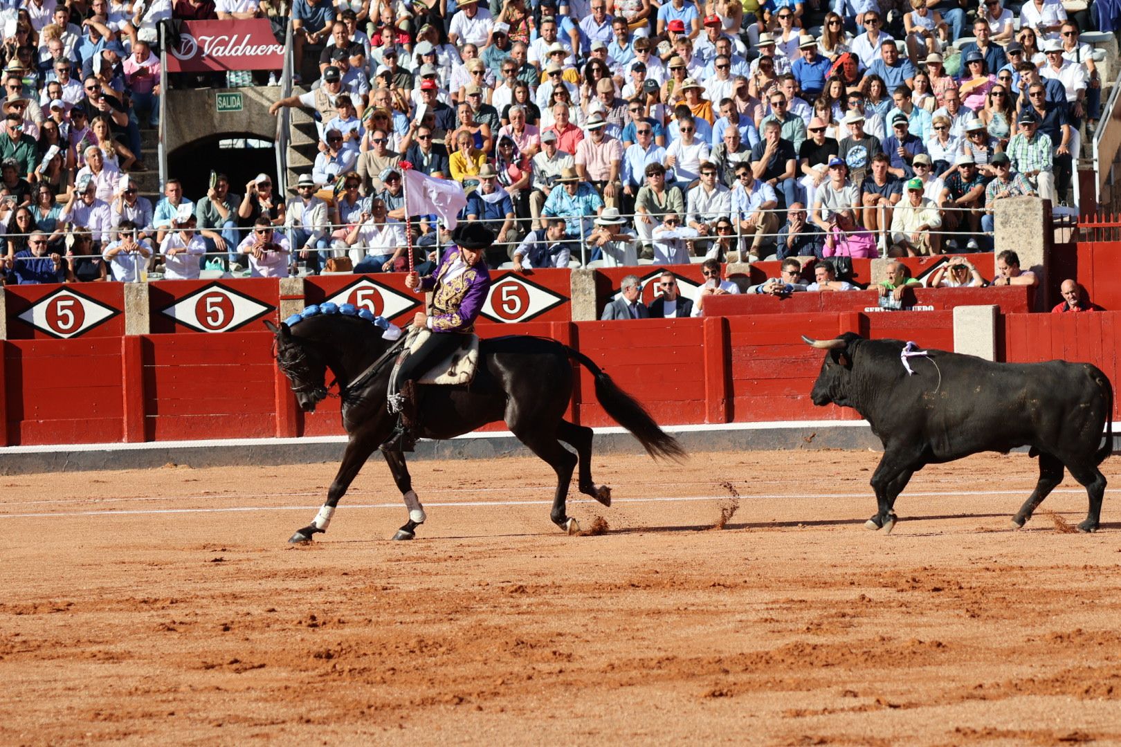 Corrida mixta del Capea: momentos más destacados del segundo festejo de abono de la Feria Taurina Virgen de la Vega 2024. Fotos Andrea M.