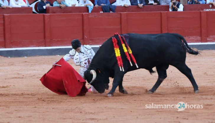 Corrida mixta del Capea: momentos más destacados del segundo festejo de abono de la Feria Taurina Virgen de la Vega 2014. Fotos Andrea M.