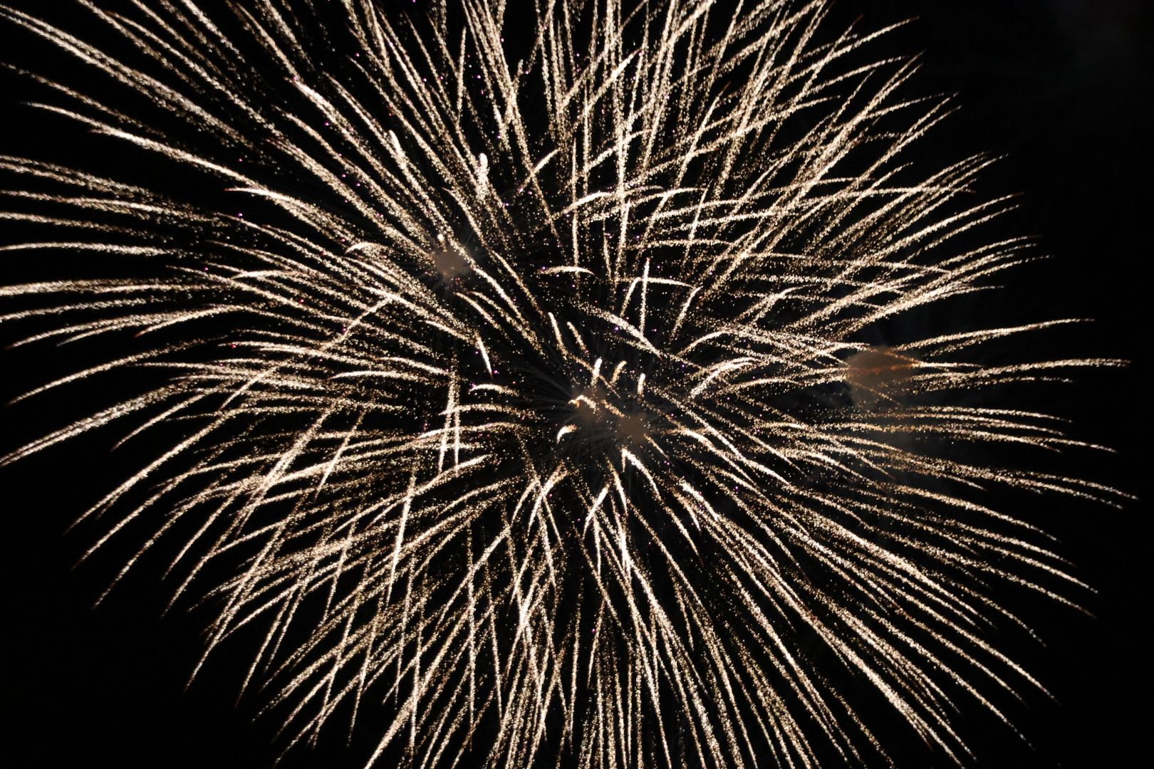 Fuegos artificiales 