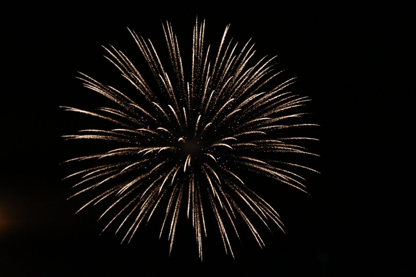 Fuegos artificiales 