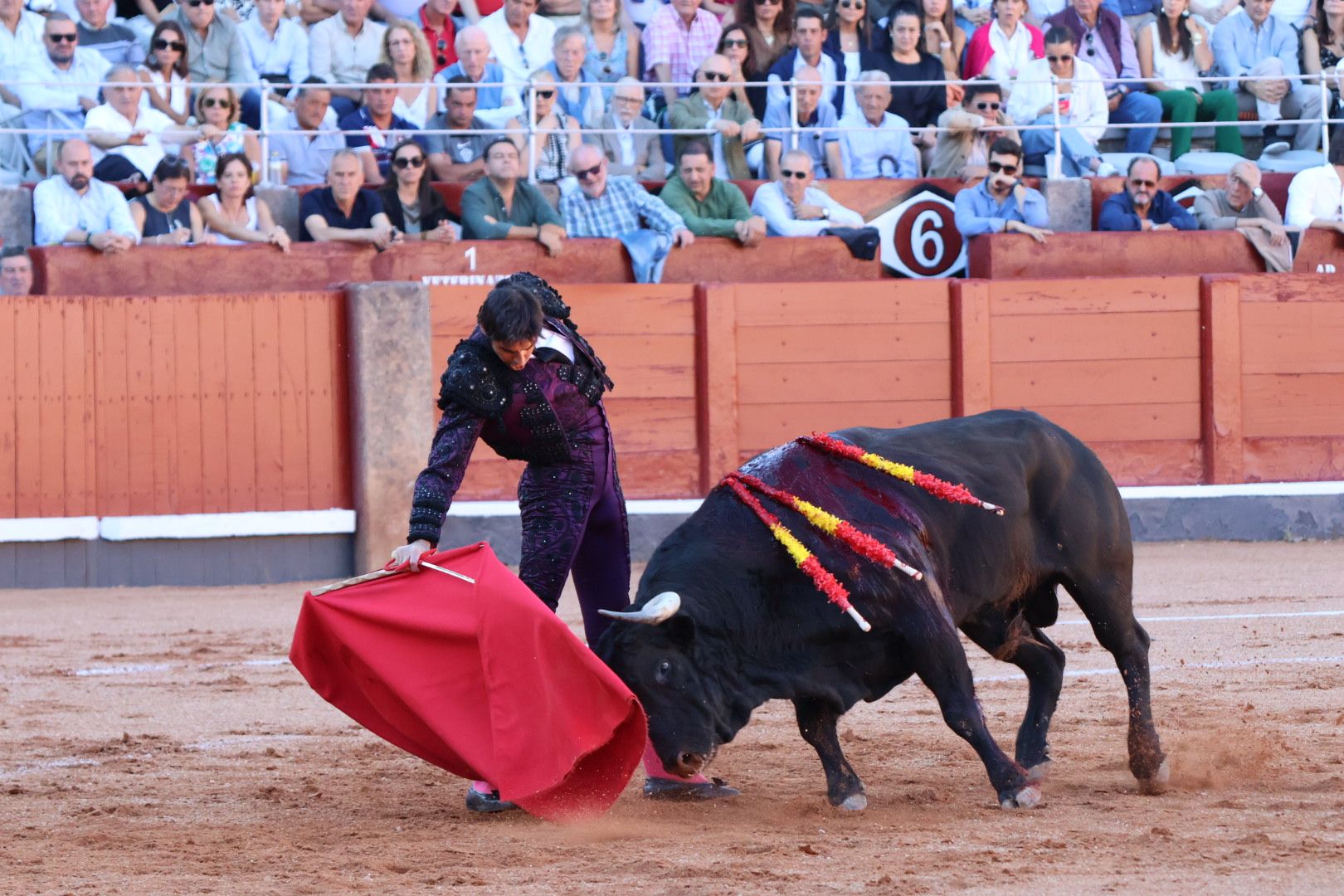 Corrida de El Vellosino: momentos más destacados del tercer  festejo de abono de la Feria Taurina Virgen de la Vega 2024. Fotos Andrea M.