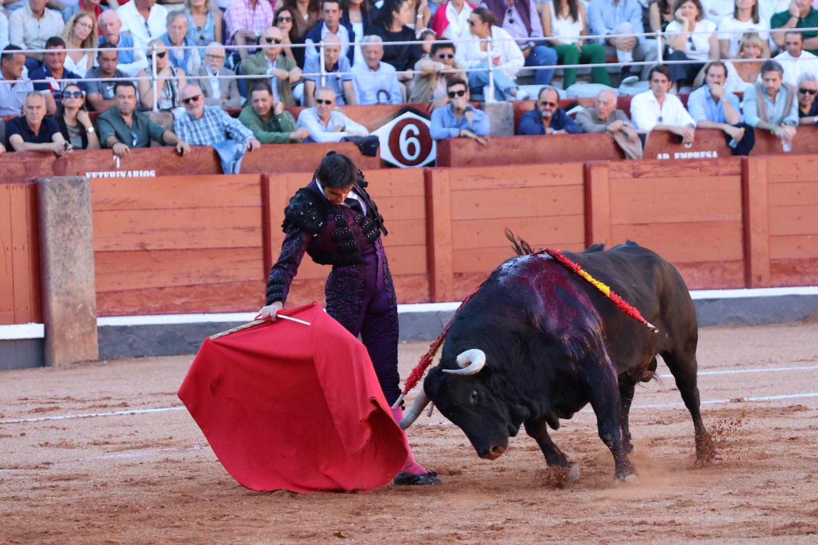 Corrida de El Vellosino: momentos más destacados del tercer  festejo de abono de la Feria Taurina Virgen de la Vega 2024. Fotos Andrea M.