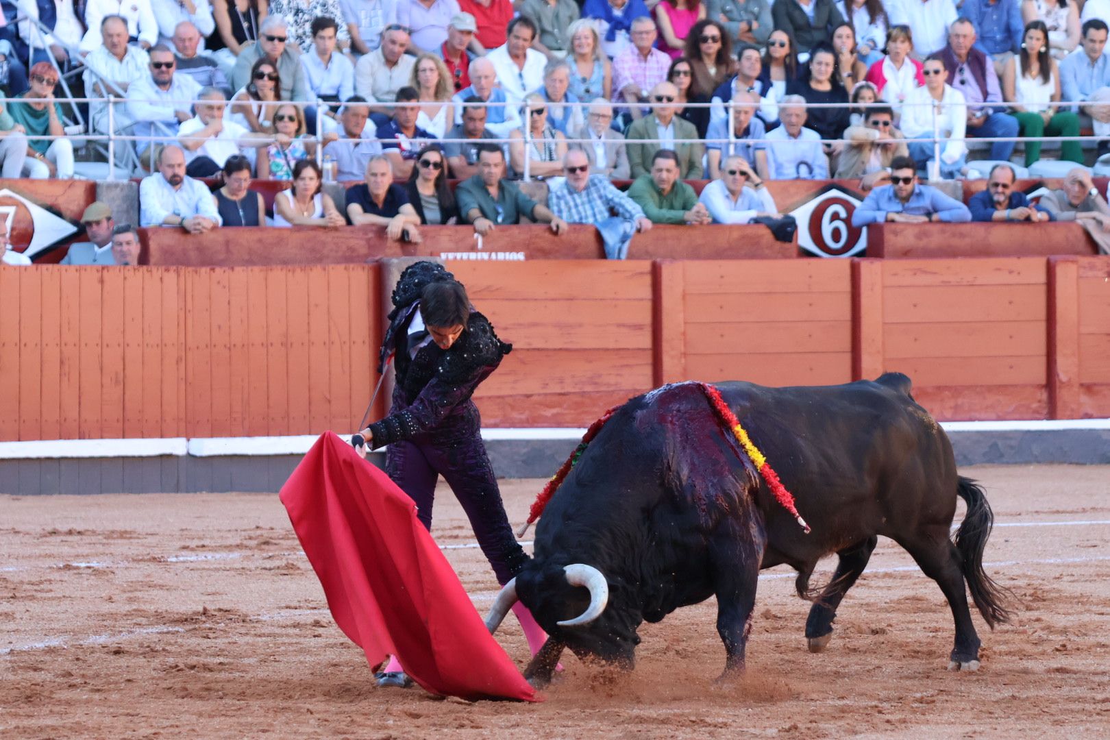 Corrida de El Vellosino: momentos más destacados del tercer  festejo de abono de la Feria Taurina Virgen de la Vega 2024. Fotos Andrea M.