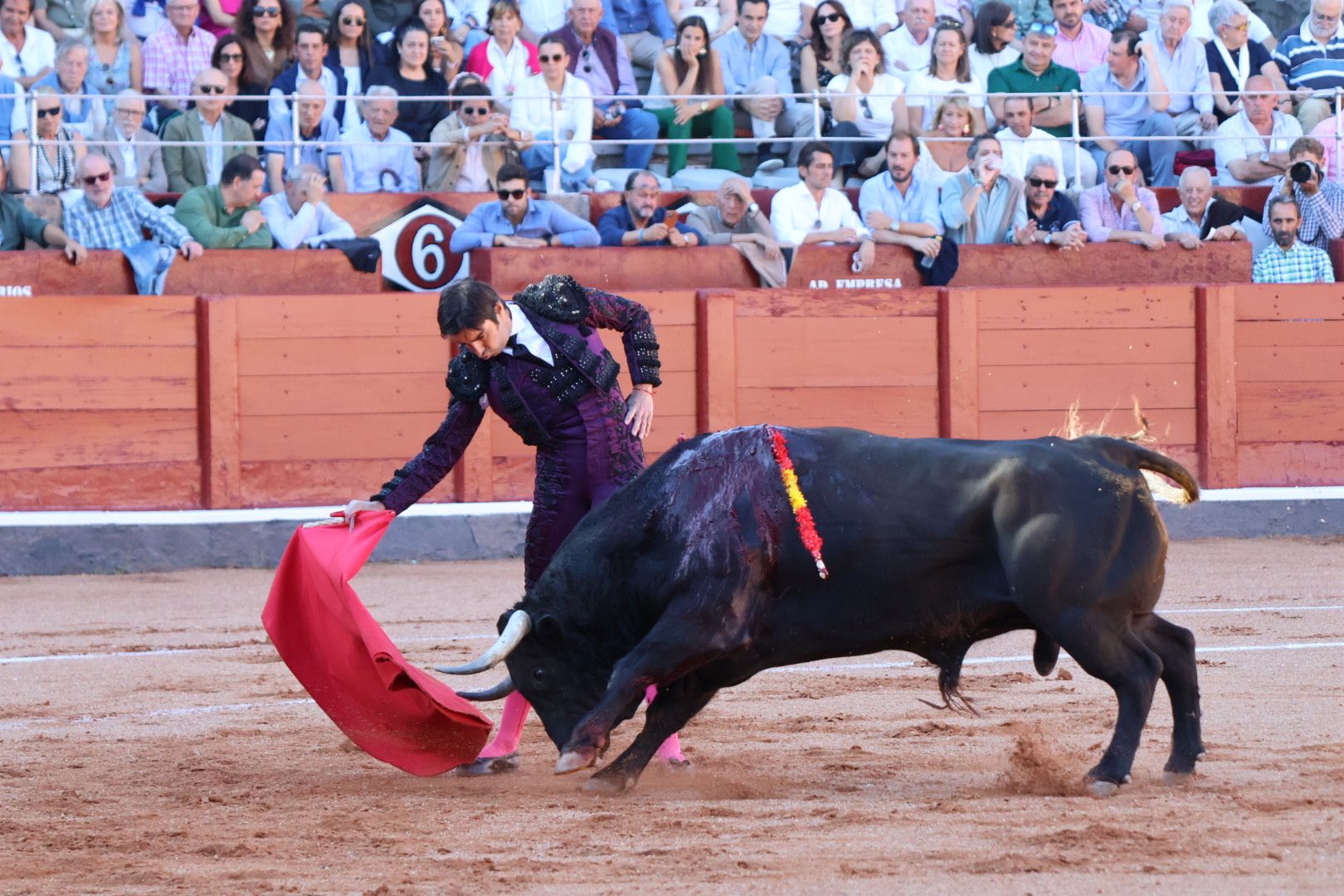 Corrida de El Vellosino: momentos más destacados del tercer  festejo de abono de la Feria Taurina Virgen de la Vega 2024. Fotos Andrea M.