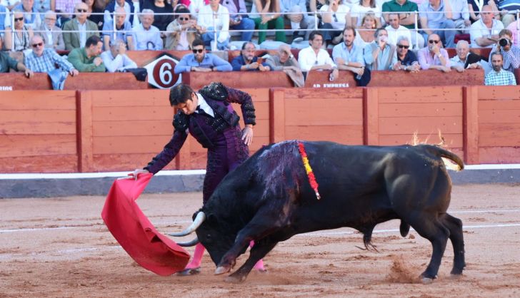 Corrida de El Vellosino: momentos más destacados del tercer  festejo de abono de la Feria Taurina Virgen de la Vega 2024. Fotos Andrea M.