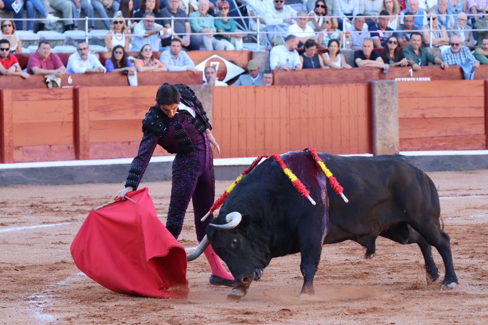 Corrida de El Vellosino: momentos más destacados del tercer  festejo de abono de la Feria Taurina Virgen de la Vega 2024. Fotos Andrea M.