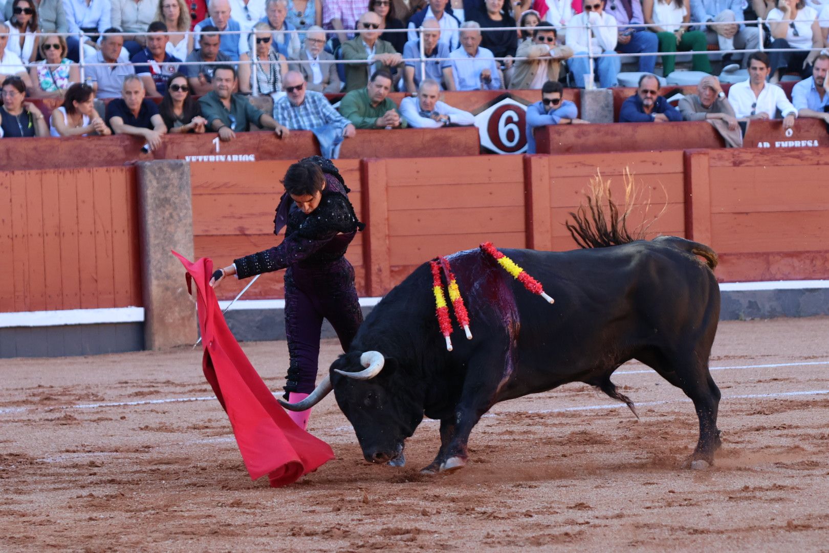 Corrida de El Vellosino: momentos más destacados del tercer  festejo de abono de la Feria Taurina Virgen de la Vega 2024. Fotos Andrea M.