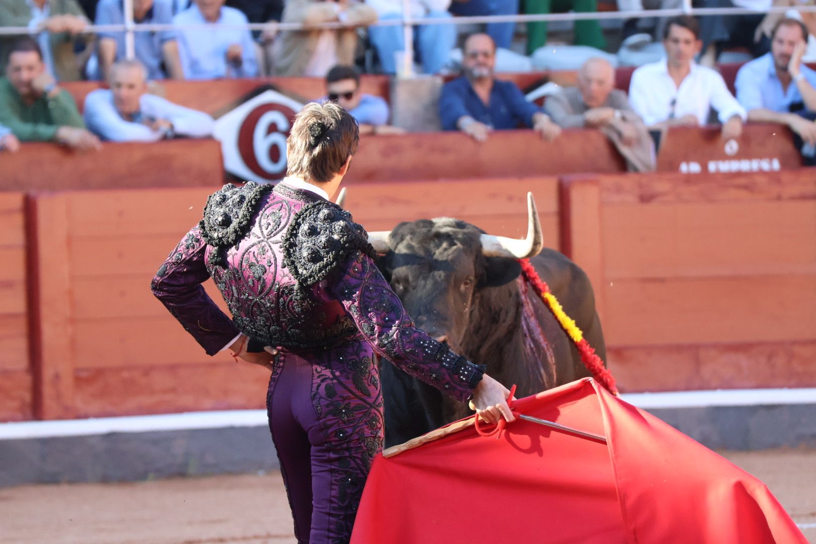 Corrida de El Vellosino: momentos más destacados del tercer  festejo de abono de la Feria Taurina Virgen de la Vega 2024. Fotos Andrea M.