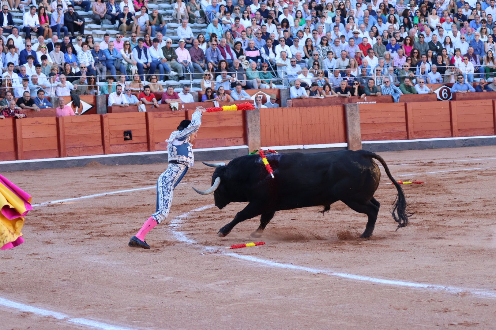 Corrida de El Vellosino: momentos más destacados del tercer  festejo de abono de la Feria Taurina Virgen de la Vega 2024. Fotos Andrea M.