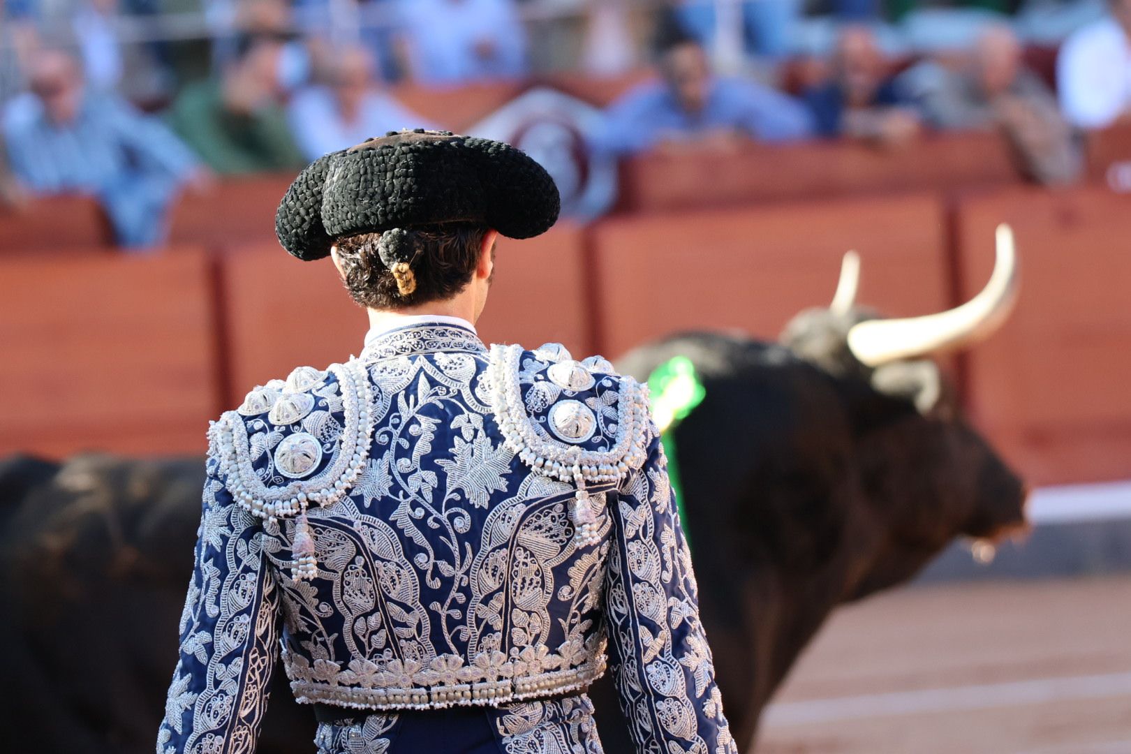 Corrida de El Vellosino: momentos más destacados del tercer  festejo de abono de la Feria Taurina Virgen de la Vega 2024. Fotos Andrea M.