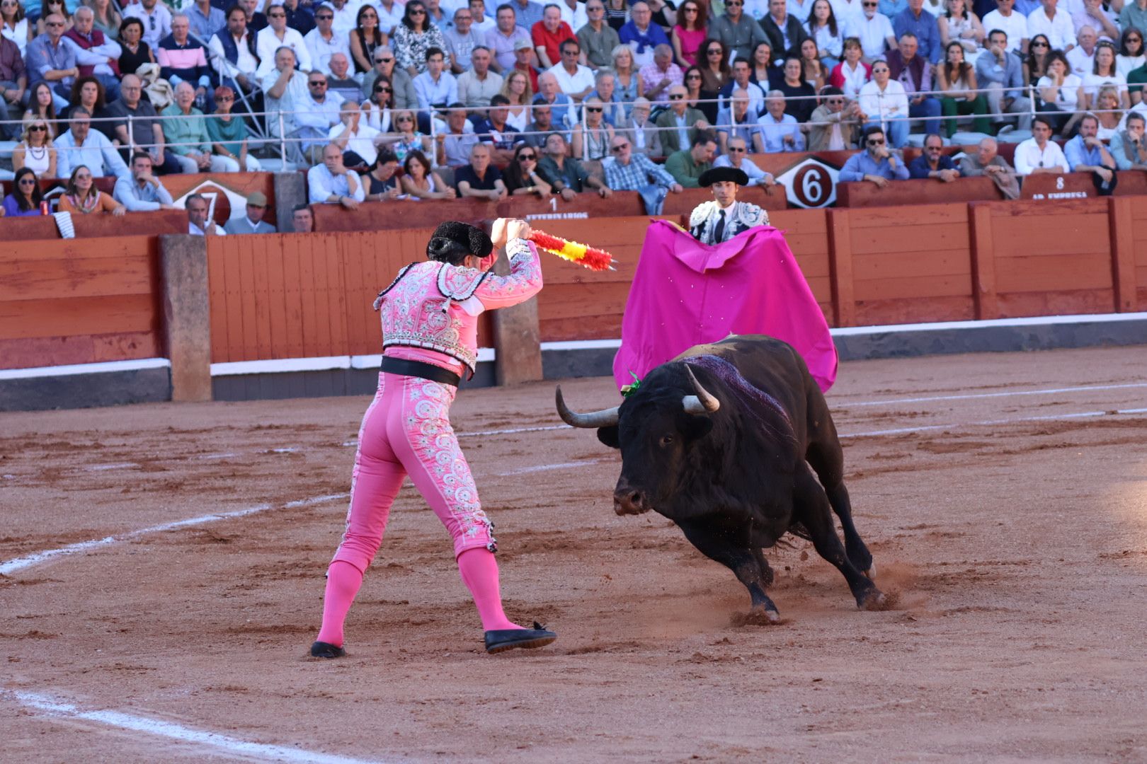 Corrida de El Vellosino: momentos más destacados del tercer  festejo de abono de la Feria Taurina Virgen de la Vega 2024. Fotos Andrea M.