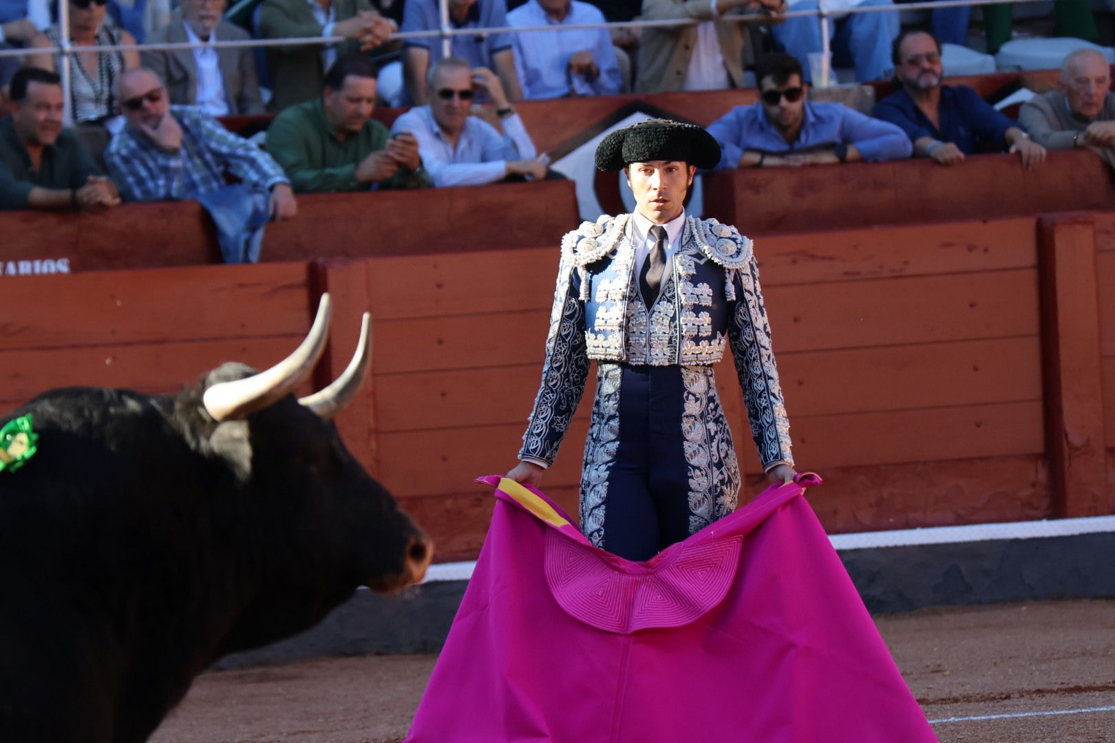 Corrida de El Vellosino: momentos más destacados del tercer  festejo de abono de la Feria Taurina Virgen de la Vega 2024. Fotos Andrea M.