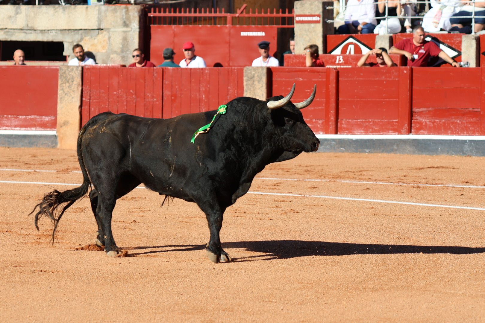 Corrida de El Vellosino: momentos más destacados del tercer  festejo de abono de la Feria Taurina Virgen de la Vega 2024. Fotos Andrea M.