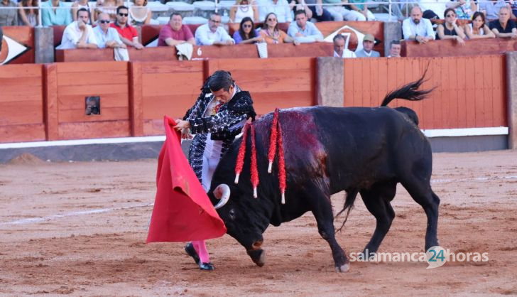 Corrida de El Vellosino: momentos más destacados del tercer  festejo de abono de la Feria Taurina Virgen de la Vega 2024. Fotos Andrea M.