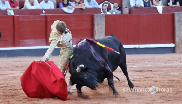 Corrida de El Vellosino: momentos más destacados del tercer  festejo de abono de la Feria Taurina Virgen de la Vega 2024. Fotos Andrea M.