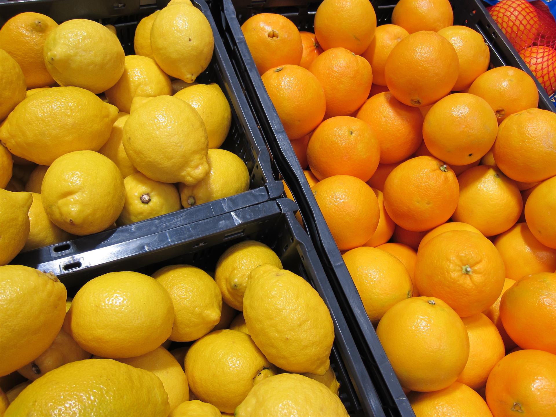 Limones, naranjas, cítricos. Foto EUROPA PRESS | Archivo